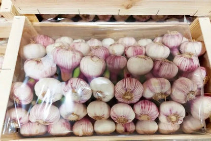 Knoblauch frisch Bio weiss-violett 100gr