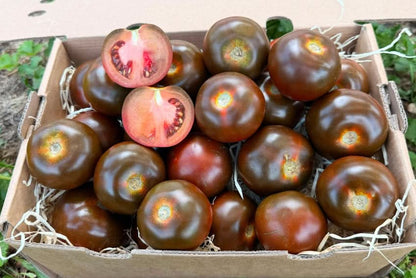 Delikatess-Tomaten schwarz "Kumato" 2kg Box Aktionswoche %