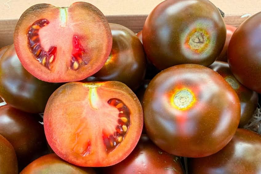 Delikatess-Tomaten schwarz "Kumato" 2kg Box Aktionswoche %