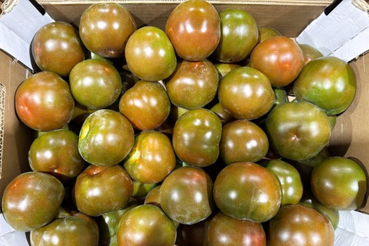 Tomaten schwarz "Kumato" von Julian