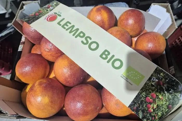 Bio Blutorangen Lempso Sizilien