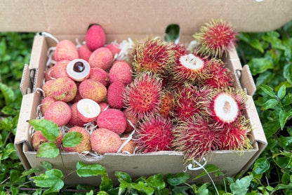 Litschi & Rambutan Box Sonderpreis