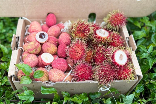 Litschi & Rambutan Box Sonderpreis