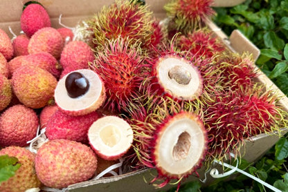 Litschi & Rambutan Box Sonderpreis
