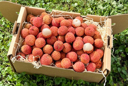 Litschi Bio von Julian Retterbox