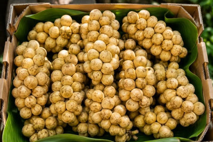 Longkong naturbelassen
