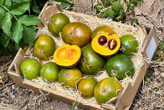 Lucuma naturbelassen