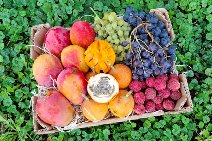 Magische Früchte Box