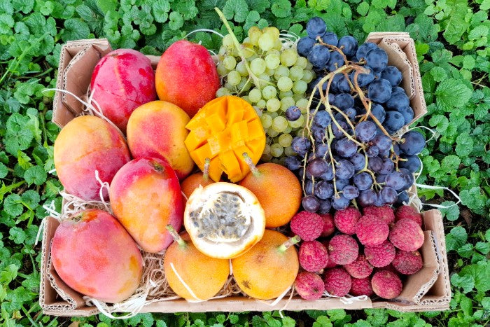Magische Früchte Box