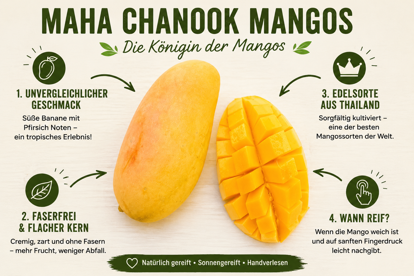 Mango Entdeckerbox