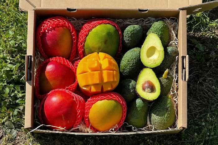 Man-Cado Box Sparpreis