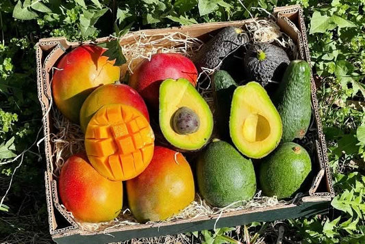 Mango Avocado Genussbox