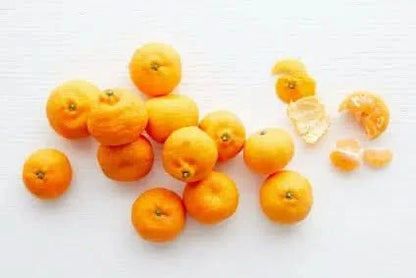 Bio echte Mandarinen "Tardivo di Ciaculli"