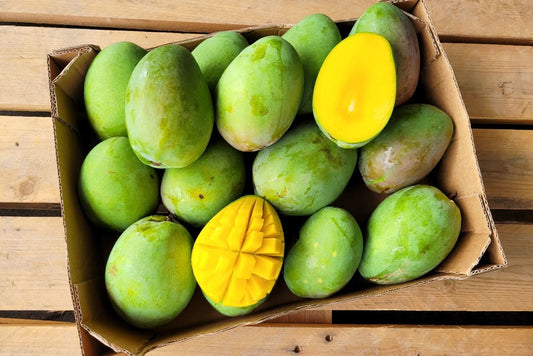 Ätna Vulkan Mango Glenn Bio Sizilien Aktionspreis