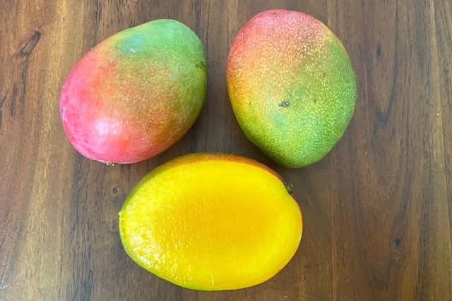 Mango Haden Bio baumgereift von Jose Luis