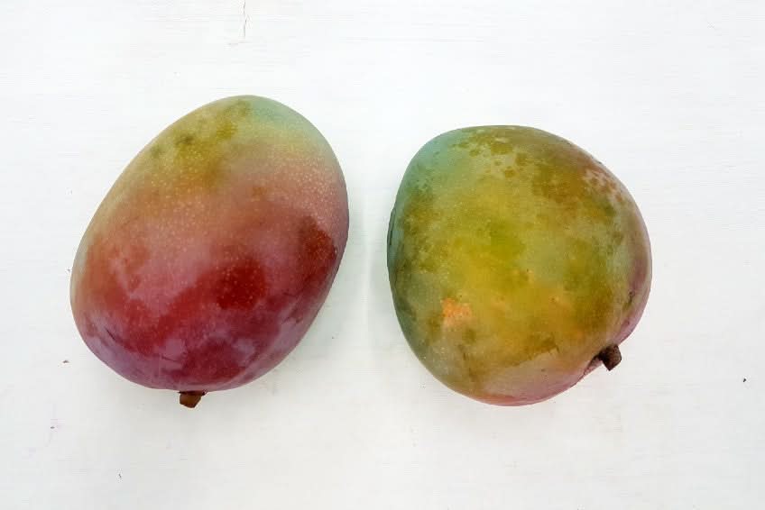 Mango Haden Bio von Julian 1kg Kennenlernpreis