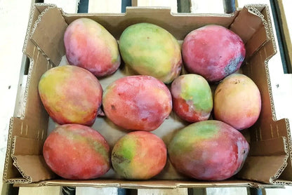 Mango Manzanillo Bio von Julian
