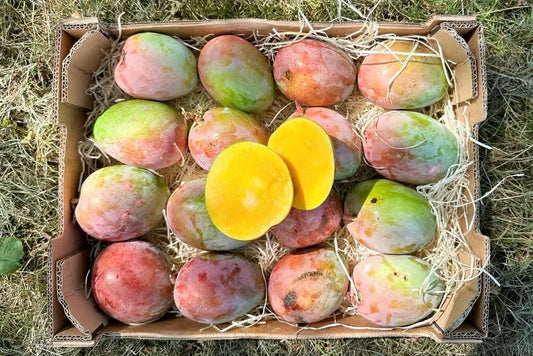 Mangorarität Manzanita (Apfelmango) von Julian Sparpreis-Box