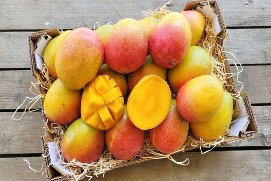 Mango Haden Bio baumgereift von Jose Luis Sparpreis-Box % 4kg