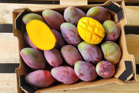 Mango Osteen Bio von Julian Box 4kg Sonderaktion!