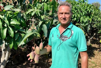 Mathias mit Bio-Mango Osteen auf seiner Finca in Andalusien – mango osteen kaufen spanien