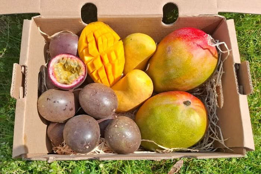 Bio Mango-Passion Box Aktionspreis