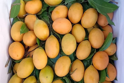 Mangopflaume (Maprang) naturbelassen Kipepeo 500g