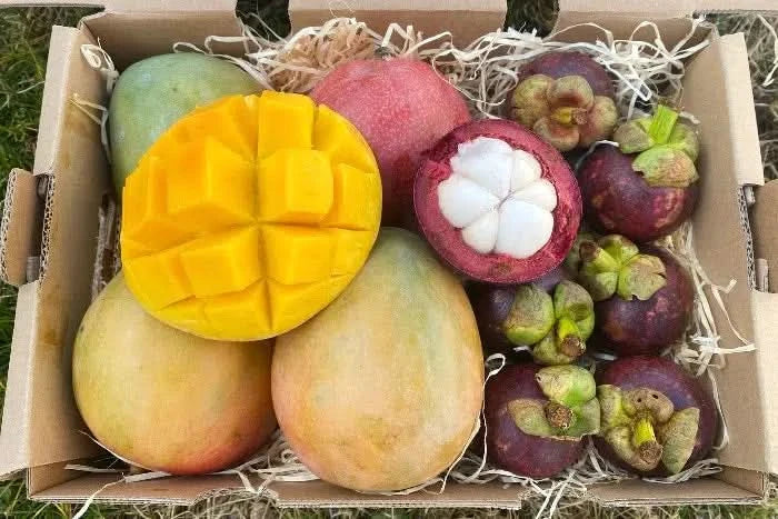 Mango-Stan" Lover Bio Box % 2,5kg