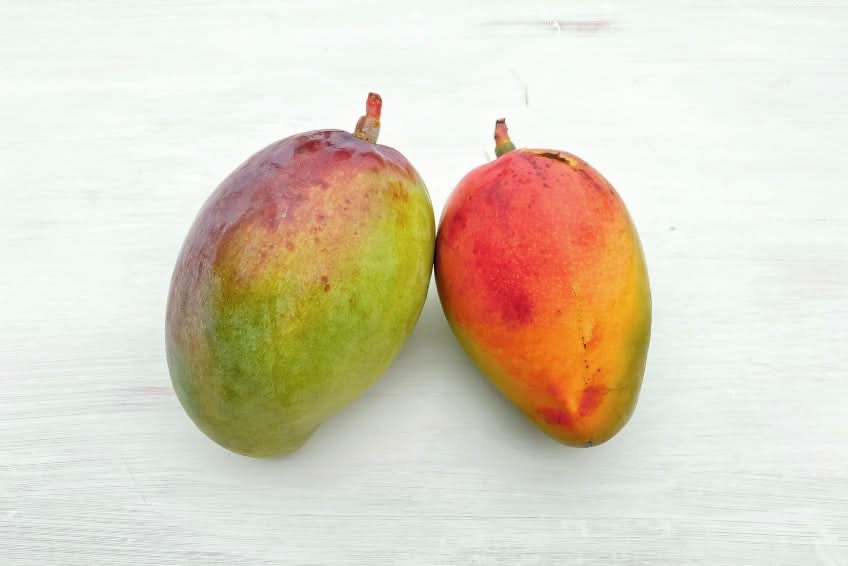 Mango Tommy Atkins wild von Rufino 1kg