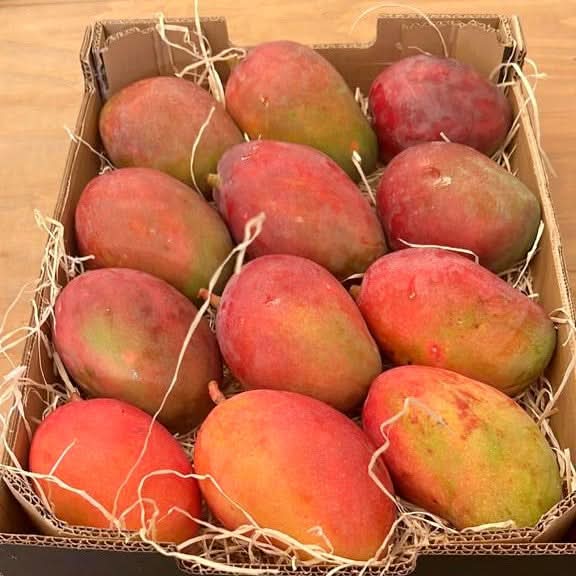Mangorarität Venezolano wild Aktionspreis % 1kg