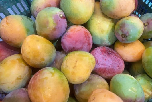 Mango "Venezolano" von Antonio