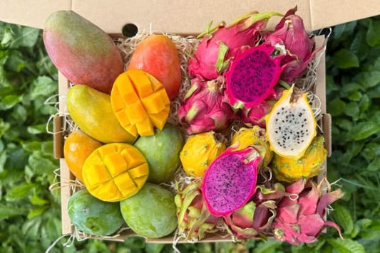 Mango & Drachenfrüchte Duo Box