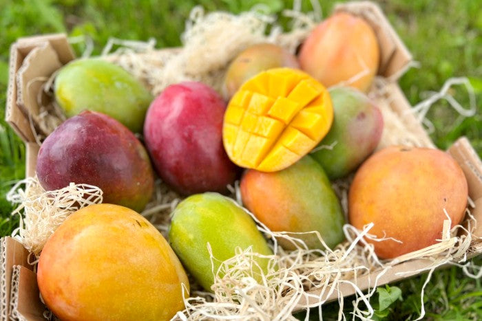 mango aufbewahrung Mango Mix Bio von Julian bestellen