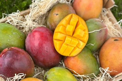 Mango von Antonio Retterbox % 3kg