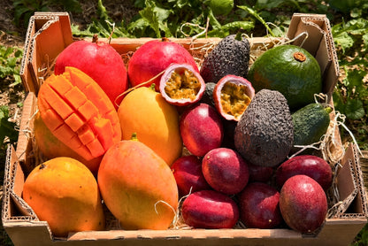 Mango, Avocado & Passion Box