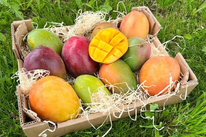 Mango von Antonio Retterbox % 3kg