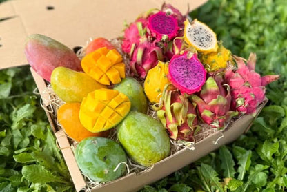 Mango & Drachenfrüchte Duo Box