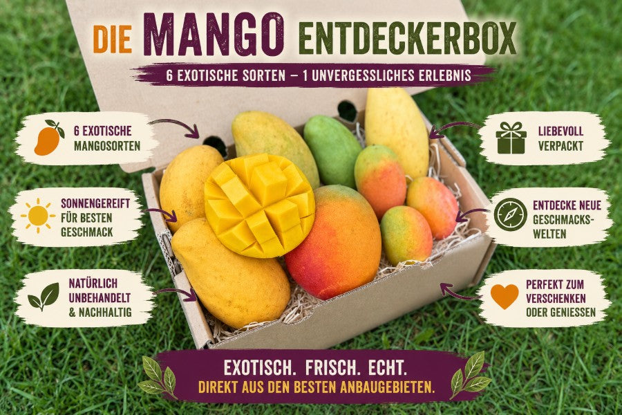 Mango Entdeckerbox