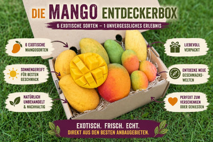 Mango Entdeckerbox