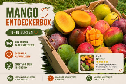 Mango Entdeckerbox (8-10 Sorten!)
