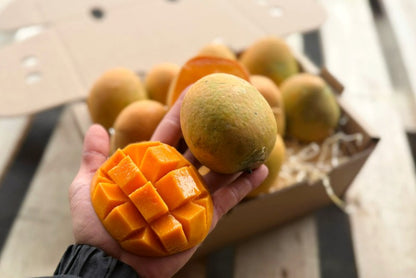 Mango "Gedong Gincu" baumgereift