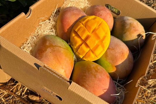 Mango Keitt Sonderaktion % Box 4kg