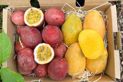 Mango & Passionsfrüchte Duo Box