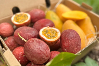 Mango & Passionsfrüchte Duo Box