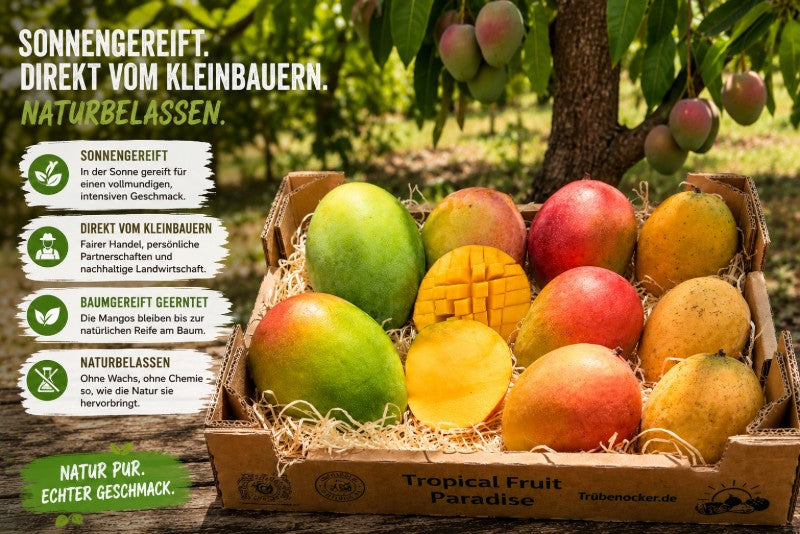 Mango Mix Sonderaktion % 3kg