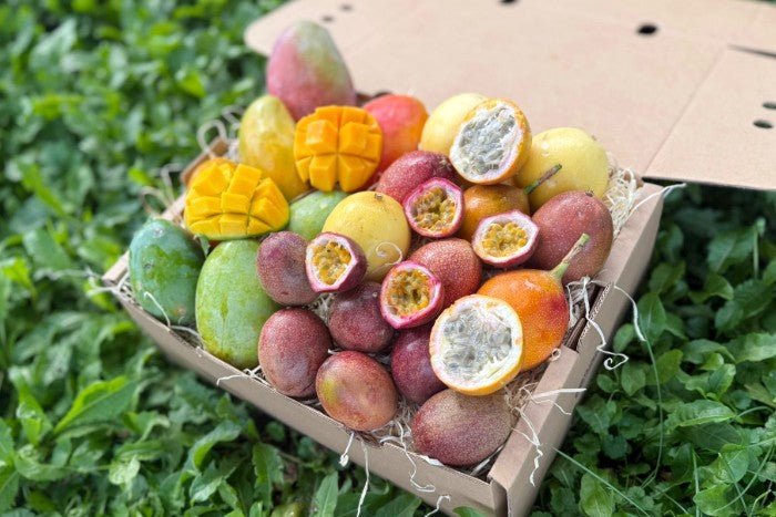 Mango & Passiflora Duo Box