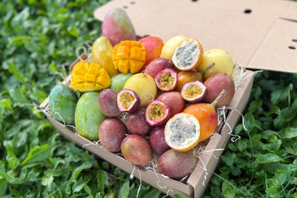 Mango & Passiflora Duo Box