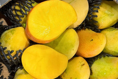 Mango Rosa baumgereift Sparpreis-Box 4kg
