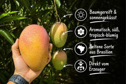 Mango Rosa baumgereift Sparpreis-Box 4kg