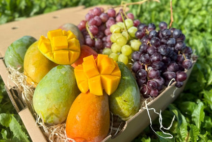 Mango & Trauben Duo Box